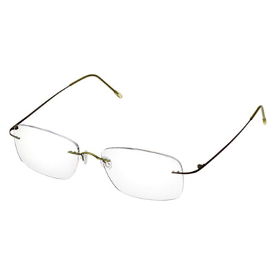 Bildschirmbrille ForSec B102 Titan-Fassung Bildschirmbrillen ForSec B102 Titan randlose Fassung